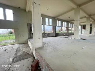 Forumland Real Estate, Esoterike opse