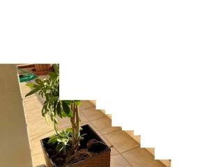 ΤΗΛΕΦΩΝΟ ΕΠΙΚΟΙΝΩΝΙΑΣ : 2310765495 // 6981242542  ΚΑΡΑΟΥΛΑΝΗ