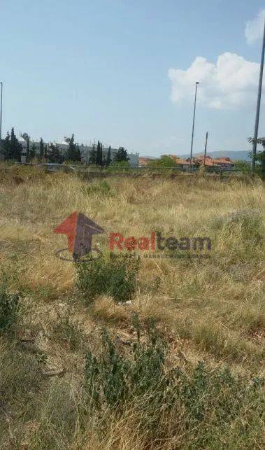 Εξωτερικοι χώροι