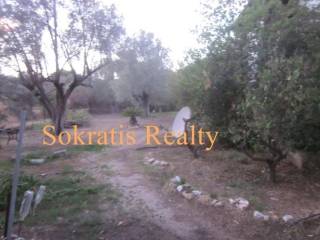 Ύπαρξη ανθρώπου