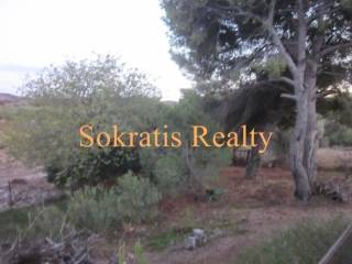 Ύπαρξη ανθρώπου