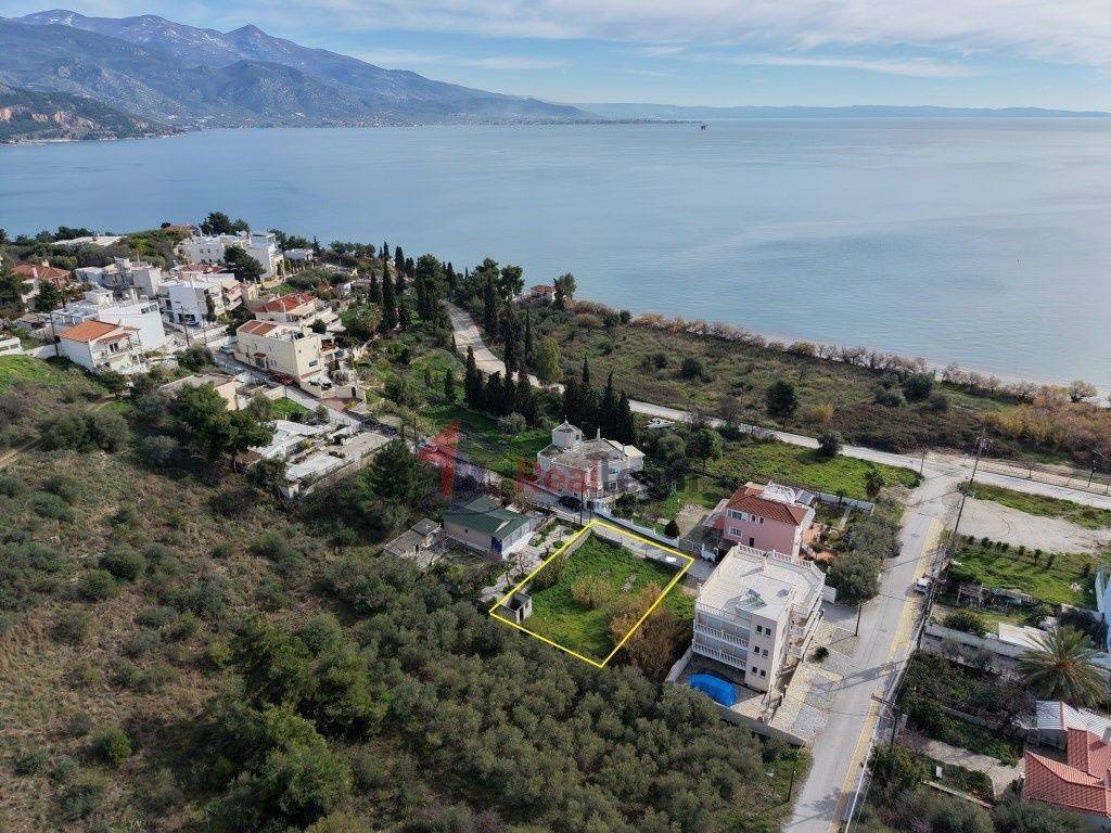 Εξωτερικοι χώροι