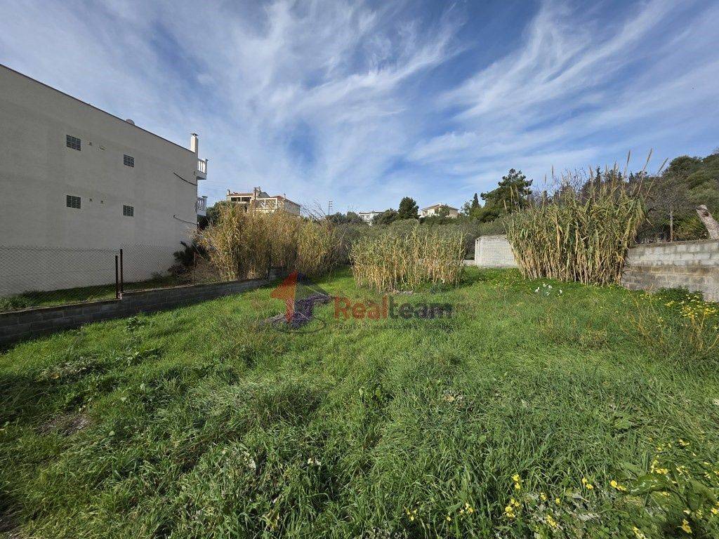 Εξωτερικοι χώροι