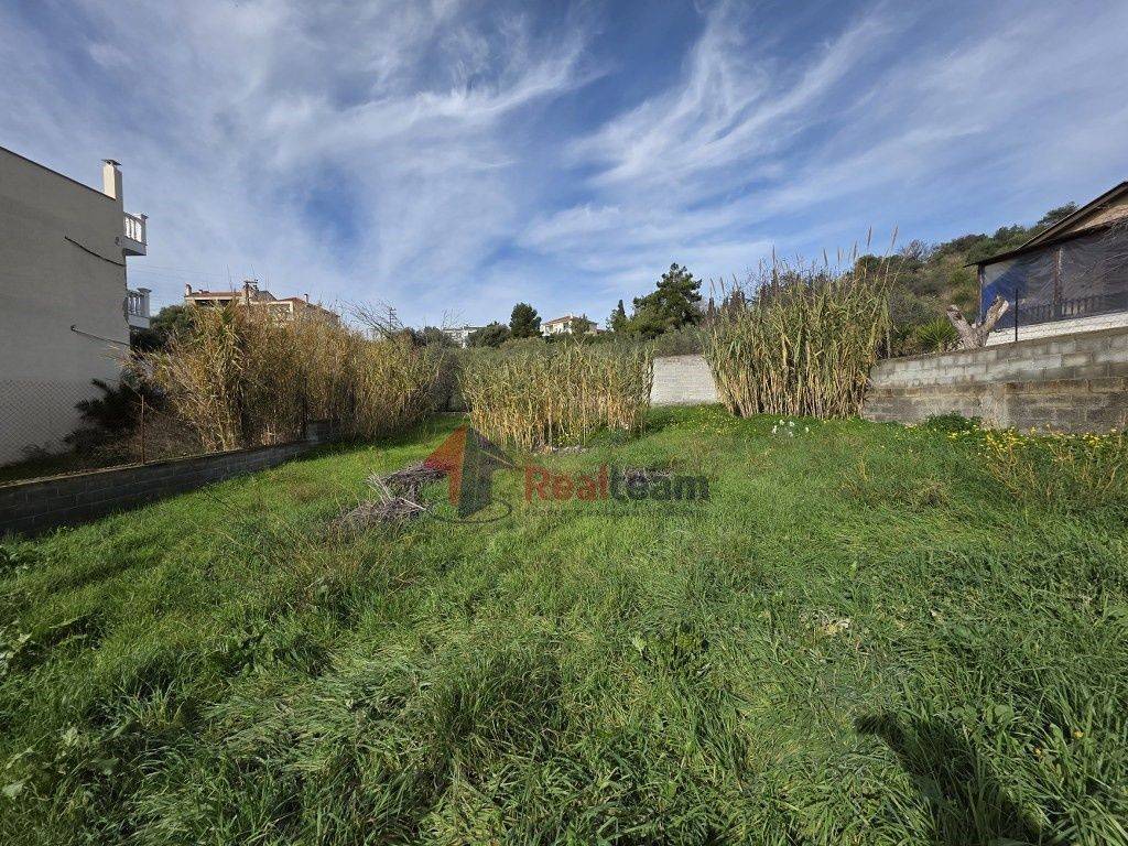 Εξωτερικοι χώροι