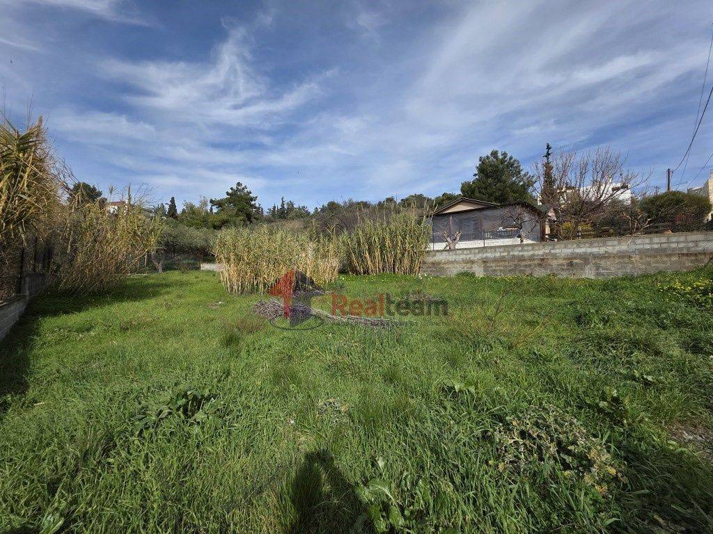 Εξωτερικοι χώροι