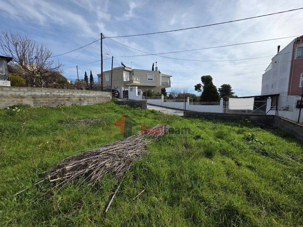 Εξωτερικοι χώροι