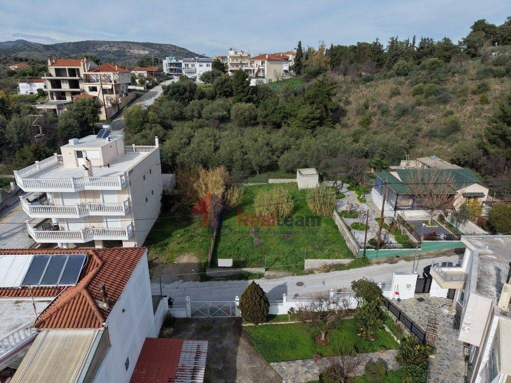 Εξωτερικοι χώροι