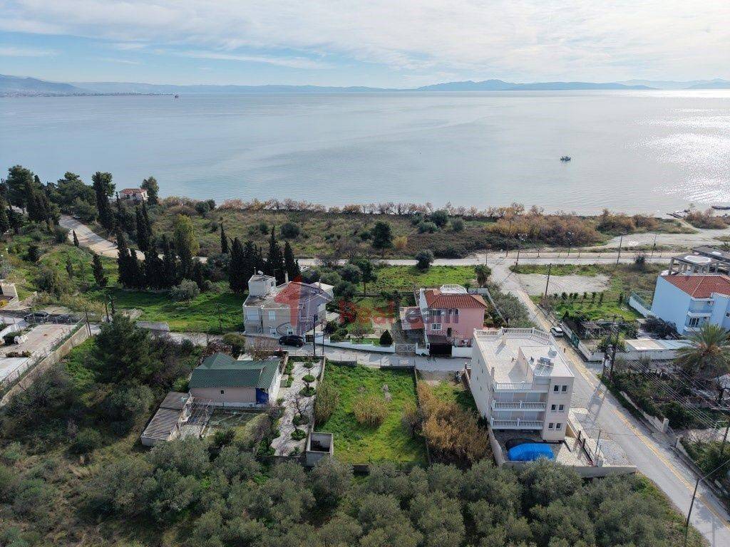 Εξωτερικοι χώροι