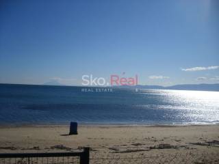 Ακτή νέων Κερδυλίων