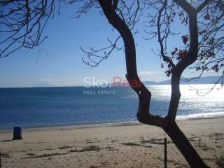 Ακτή νέων Κερδυλίων