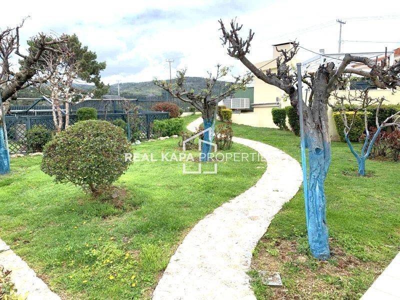 Ύπαρξη ανθρώπου