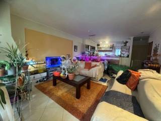 Σαλοκουζίνα