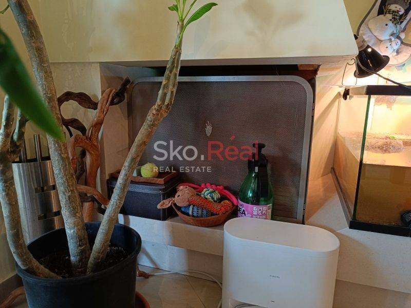 Σαλοκουζίνα