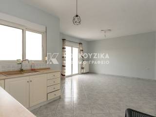 Σαλοκουζίνα