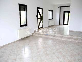 Σαλοκουζίνα