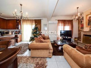 Σαλοκουζίνα