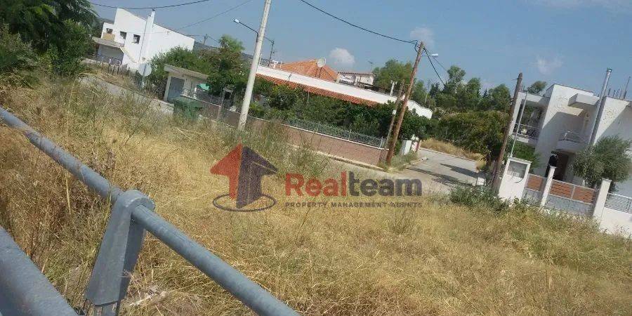 Εξωτερικοι χώροι