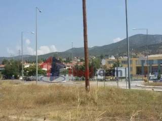 Εξωτερικοι χώροι