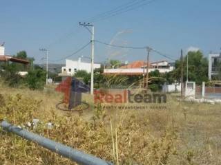 Εξωτερικοι χώροι