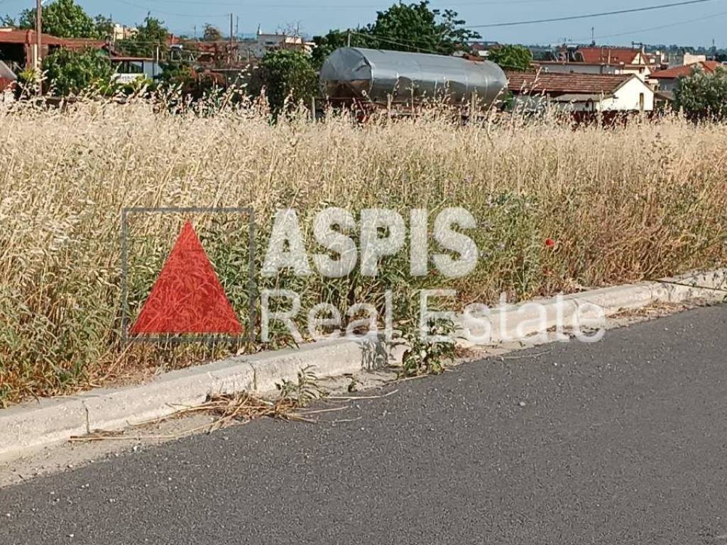 Εξωτερικοι χώροι