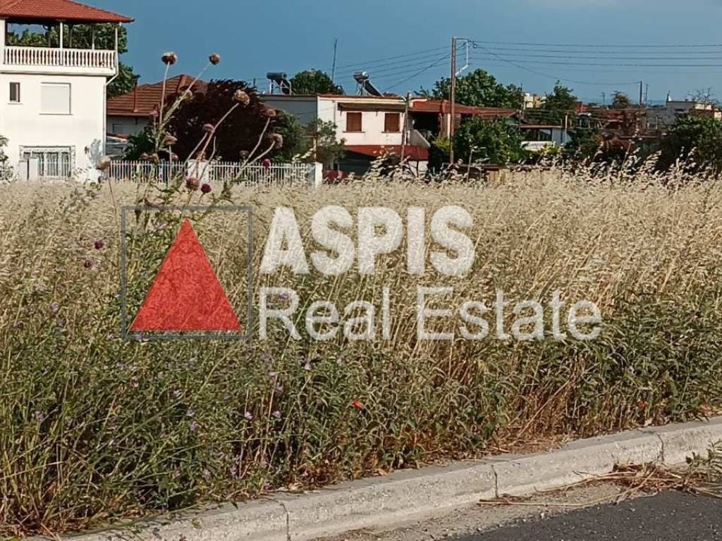 Εξωτερικοι χώροι