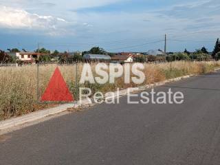 Εξωτερικοι χώροι