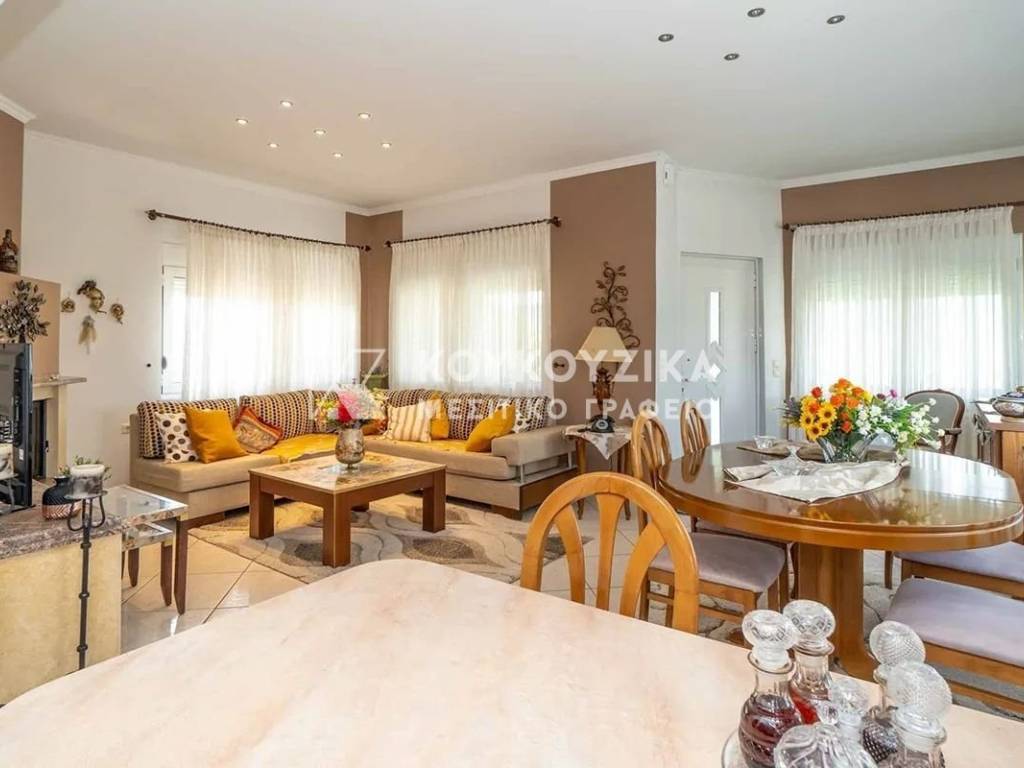 Σαλοκουζίνα