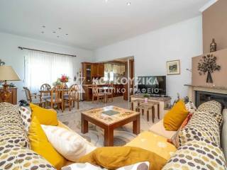 Σαλοκουζίνα