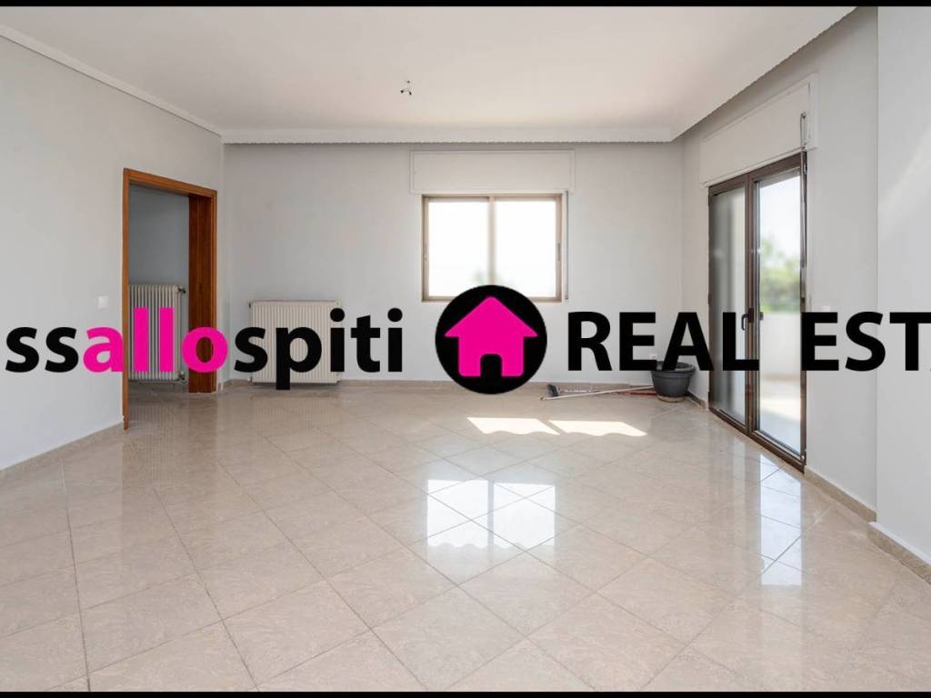 SALONI ME TZAKI KAI THEA