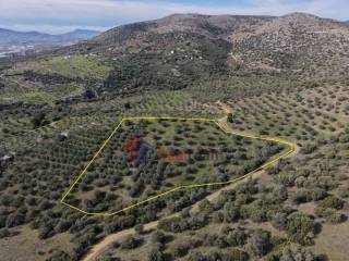 Εξωτερικοι χώροι