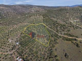 Εξωτερικοι χώροι