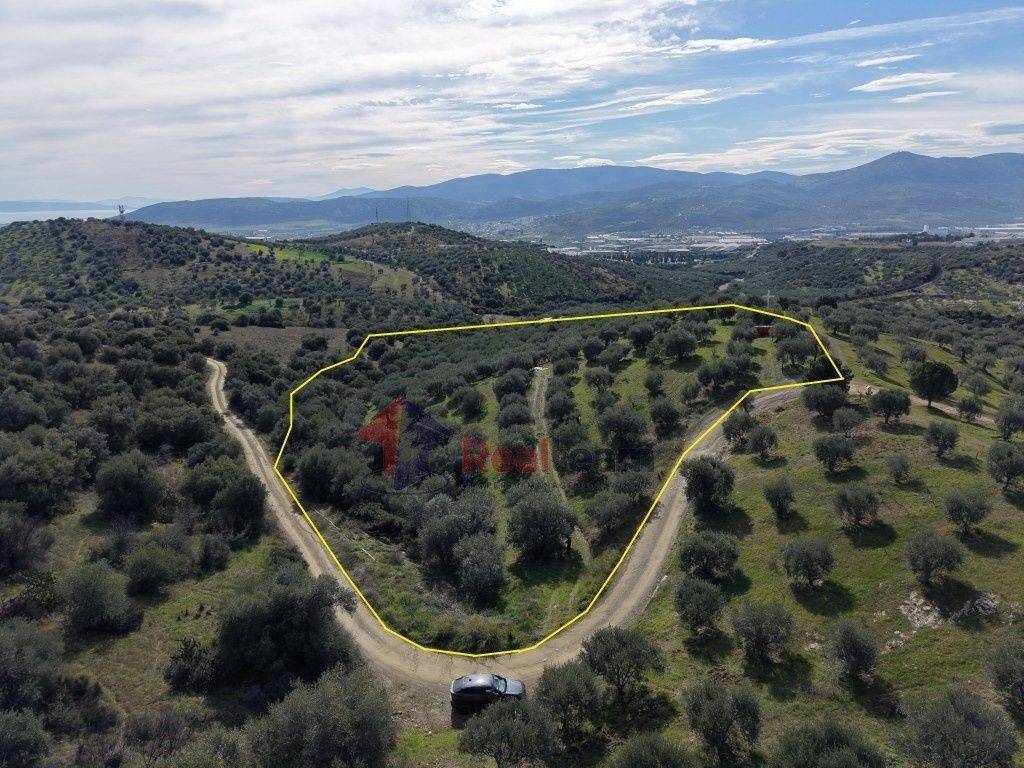 Εξωτερικοι χώροι