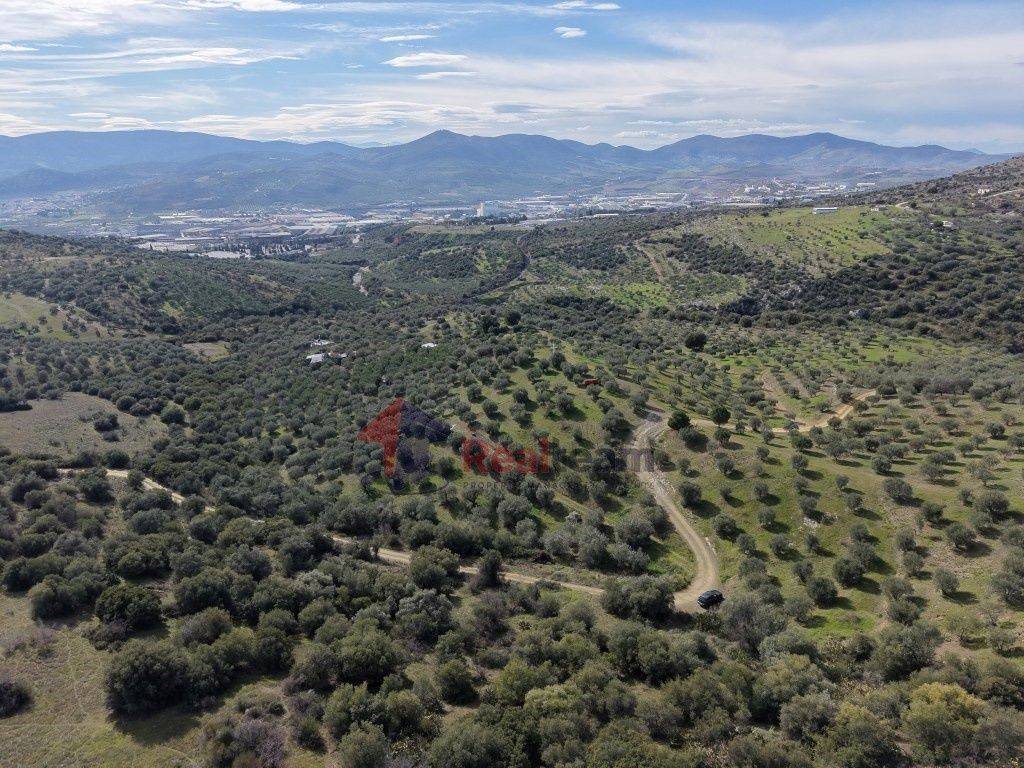 Εξωτερικοι χώροι