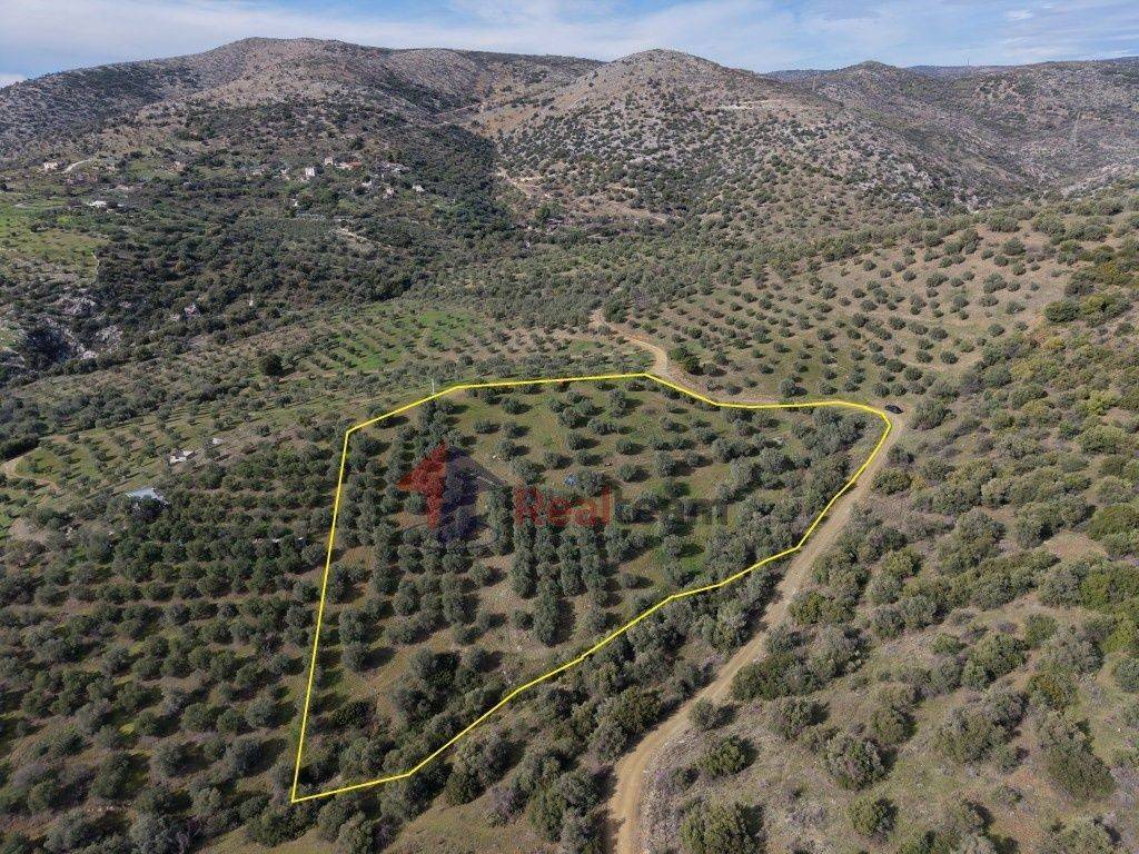 Εξωτερικοι χώροι