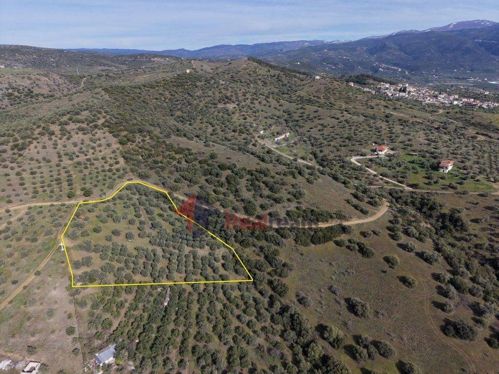 Εξωτερικοι χώροι