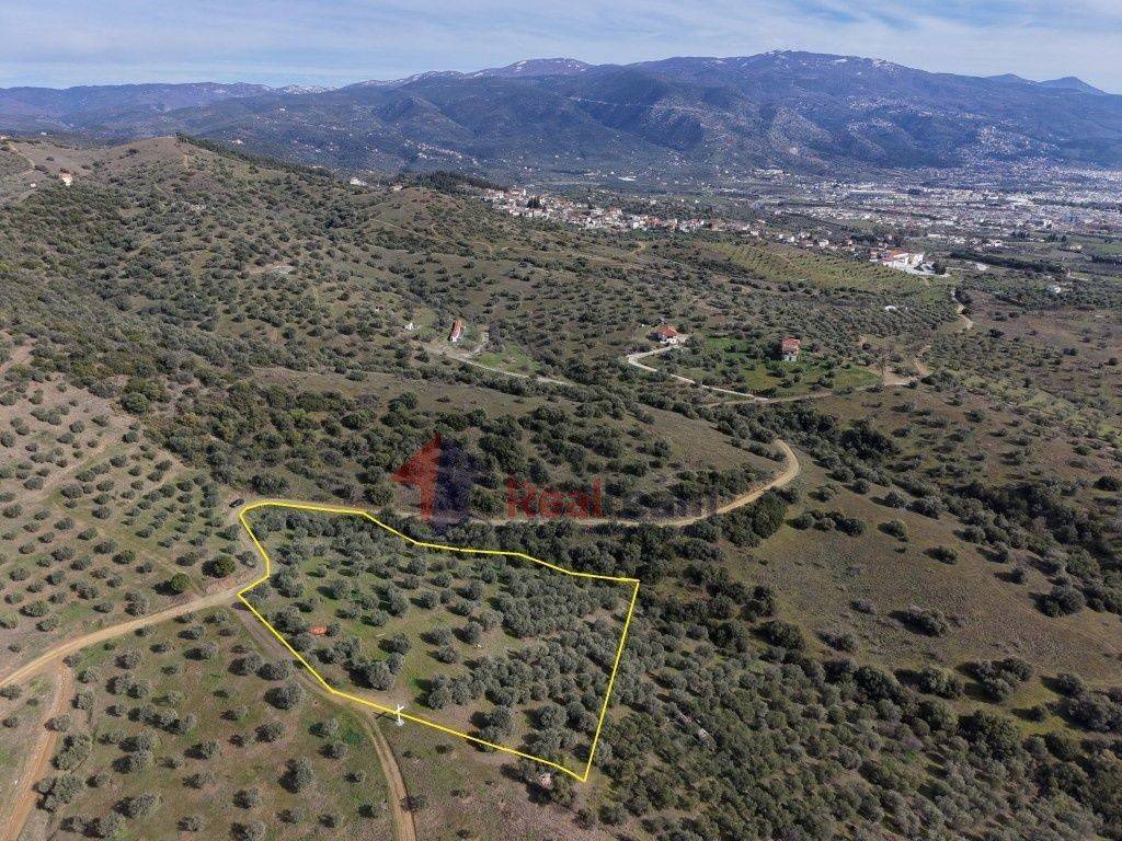 Εξωτερικοι χώροι