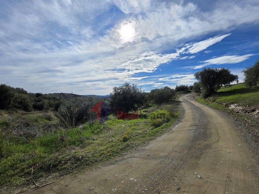 Εξωτερικοι χώροι