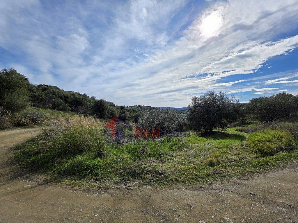 Εξωτερικοι χώροι