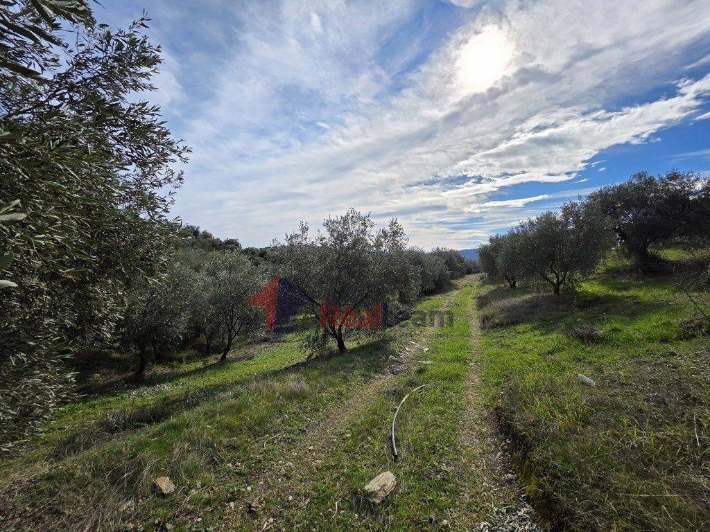 Εξωτερικοι χώροι