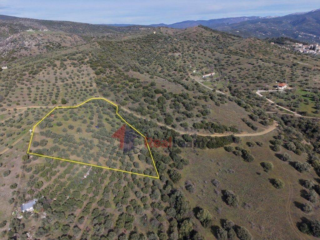 Εξωτερικοι χώροι