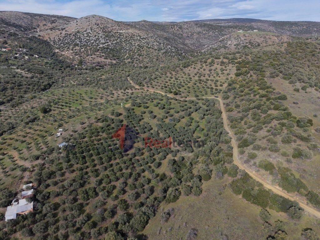 Εξωτερικοι χώροι