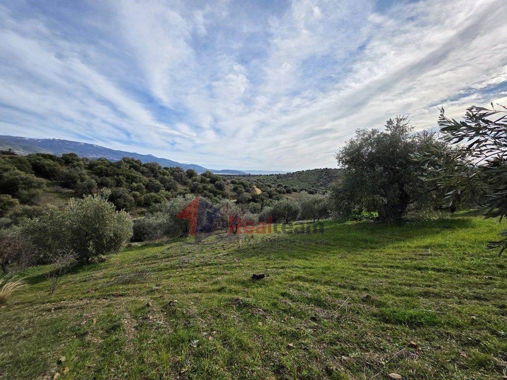 Εξωτερικοι χώροι