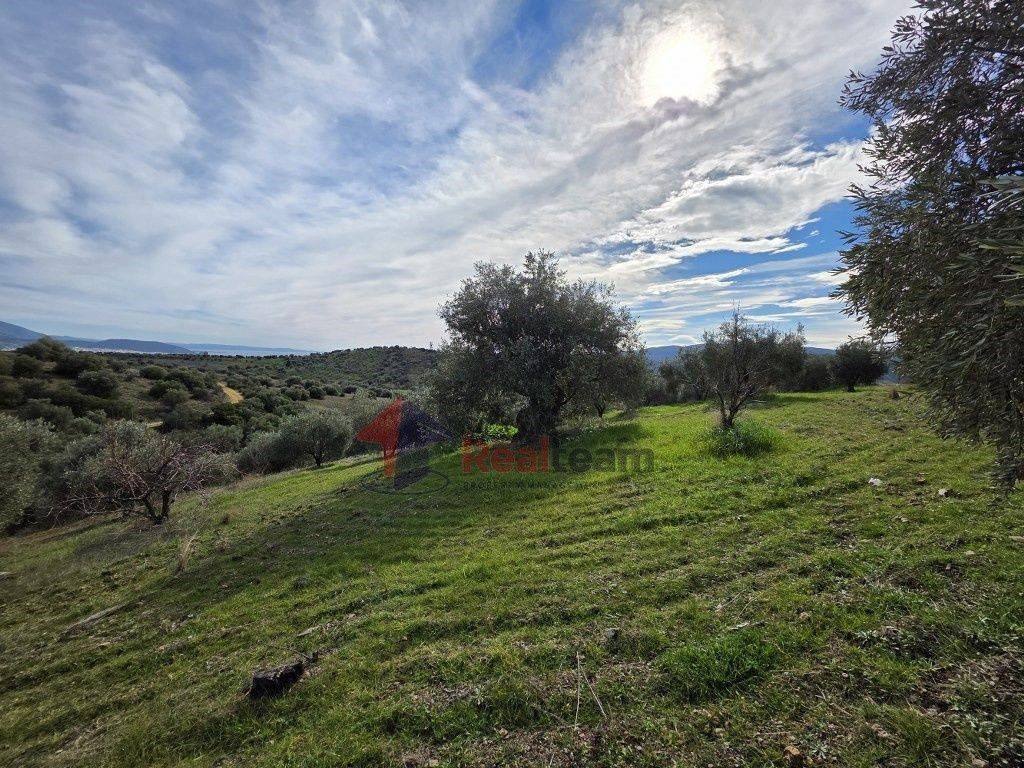 Εξωτερικοι χώροι