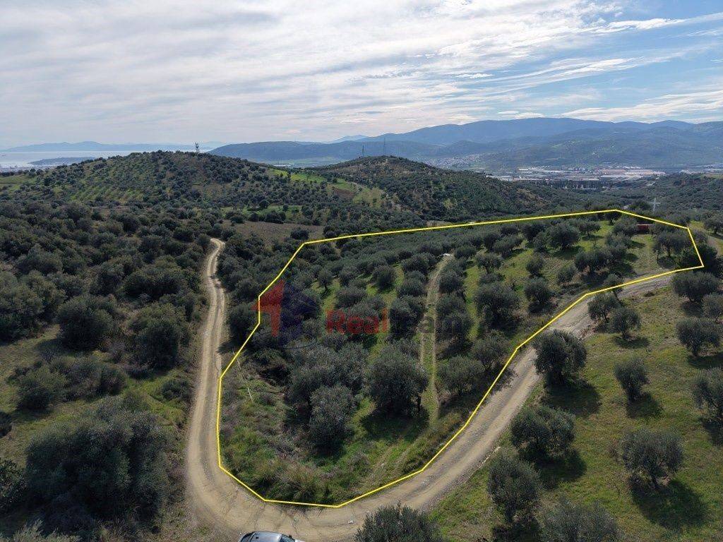 Εξωτερικοι χώροι