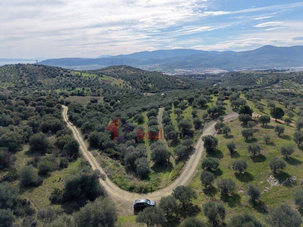 Εξωτερικοι χώροι