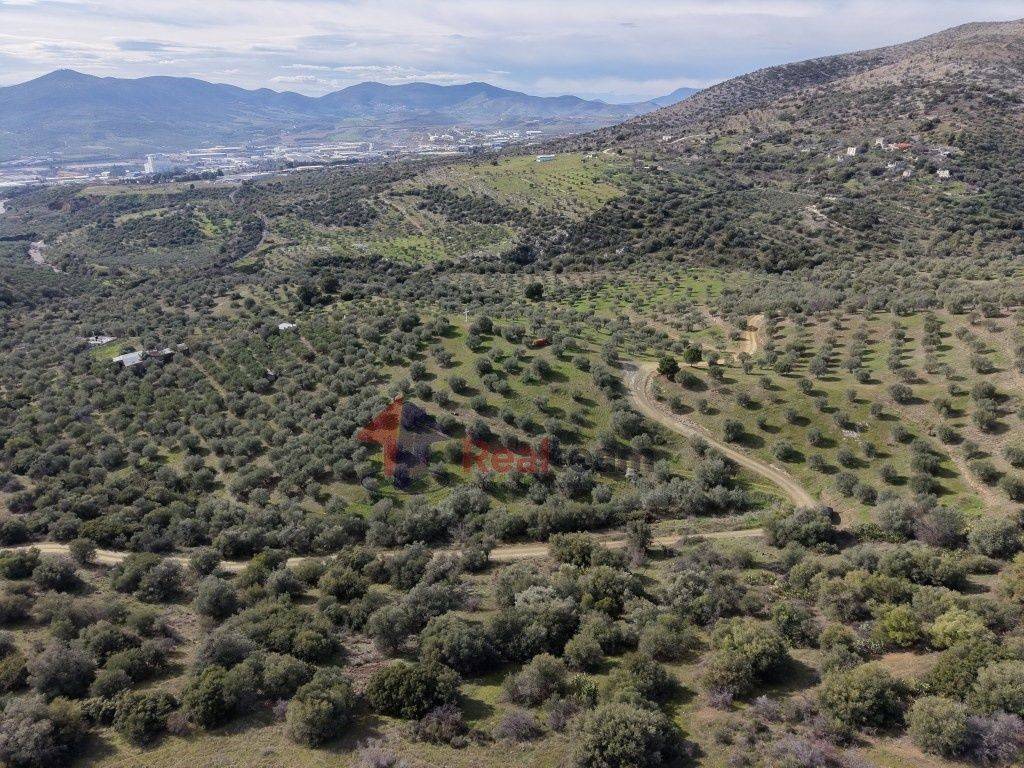 Εξωτερικοι χώροι