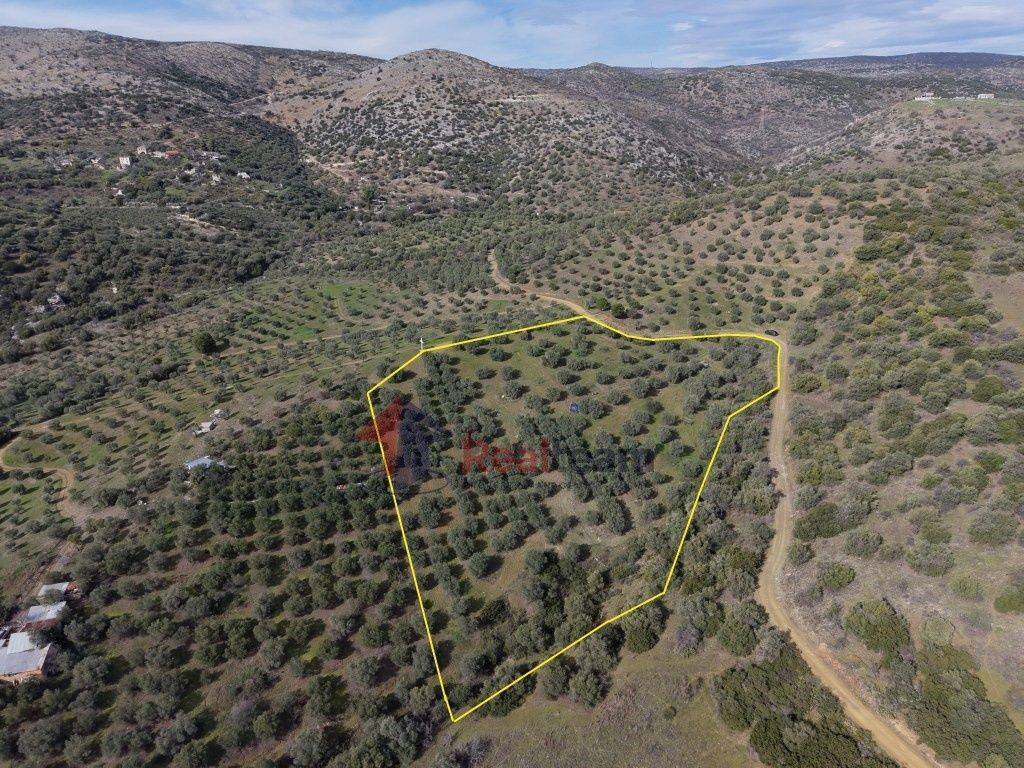 Εξωτερικοι χώροι