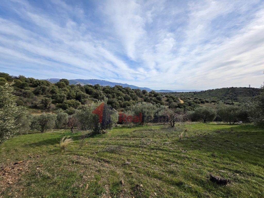 Εξωτερικοι χώροι