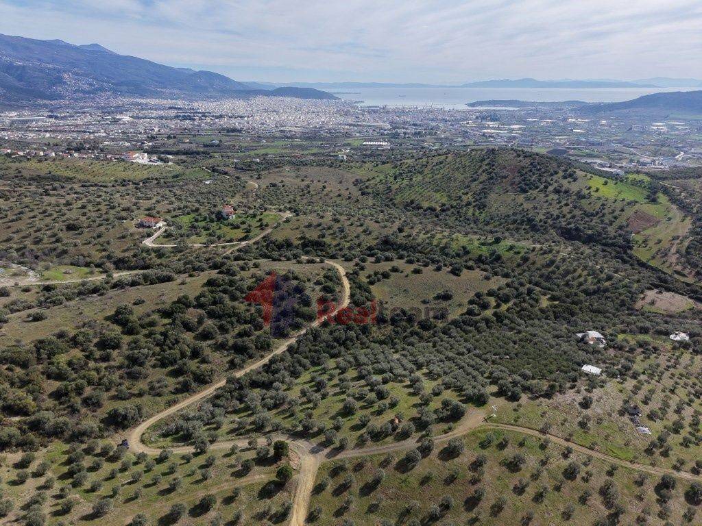 Εξωτερικοι χώροι