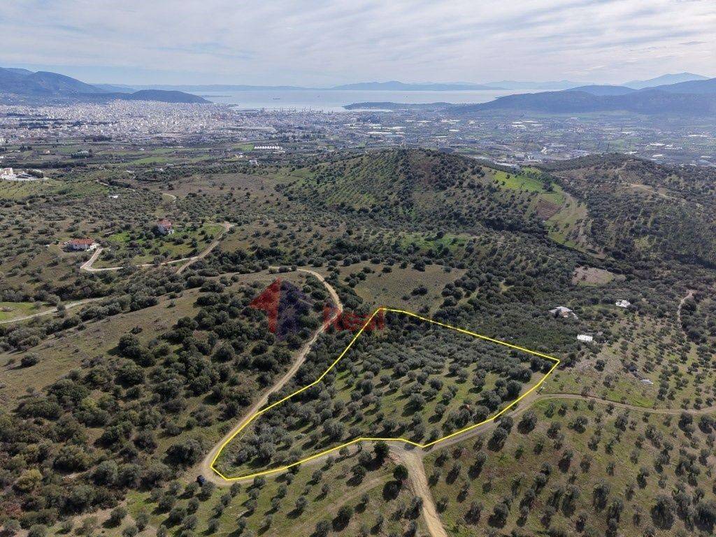 Εξωτερικοι χώροι